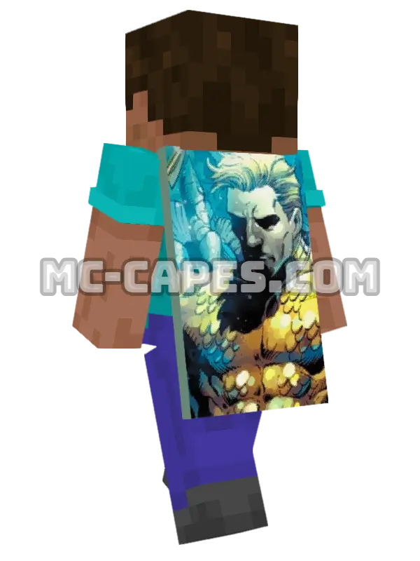 Aquaman Minecraft cape worn on a player, seen from behind