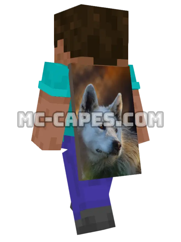 Arctic Wolf Minecraft cape worn on a player, seen from behind