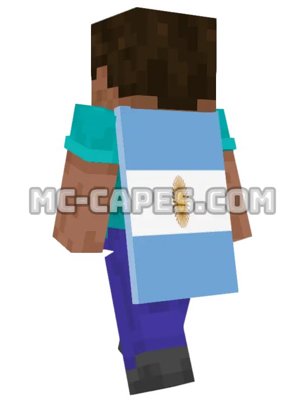 Argentina Flag Minecraft cape worn on a player, seen from behind
