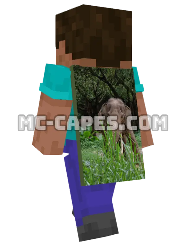 Asian Elephants Minecraft cape worn on a player, seen from behind