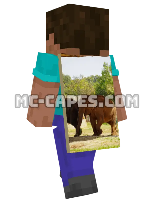 Asian Elephants Minecraft cape worn on a player, seen from behind