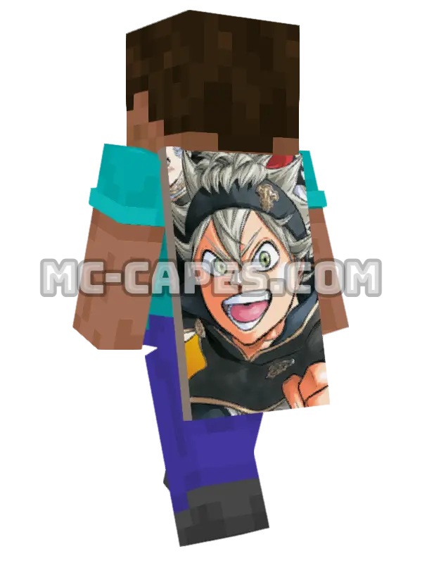 Asta Minecraft cape worn on a player, seen from behind