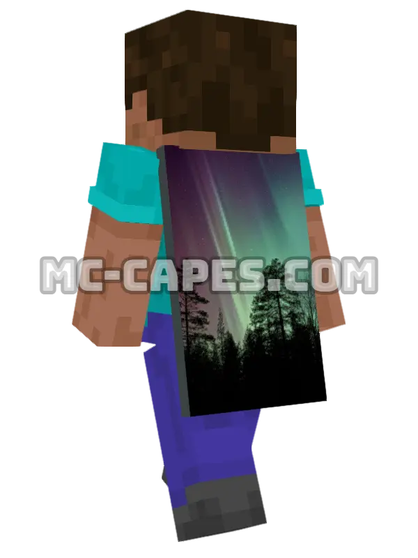 Aurora Borealis Minecraft cape worn on a player, seen from behind