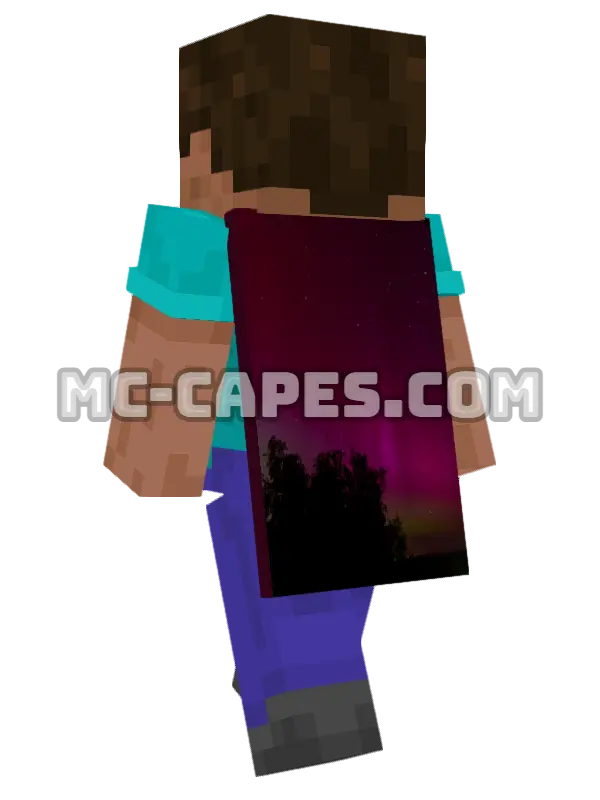 Aurora Borealis Minecraft cape worn on a player, seen from behind