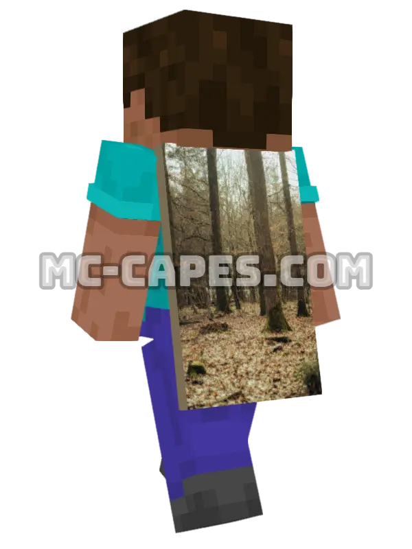 Autumn Forest Minecraft cape worn on a player, seen from behind