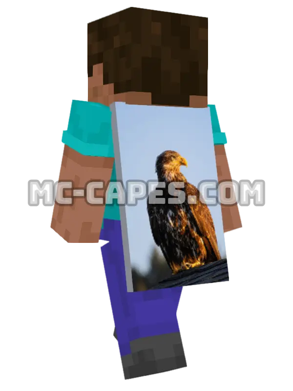 Bald Eagle Minecraft cape worn on a player, seen from behind