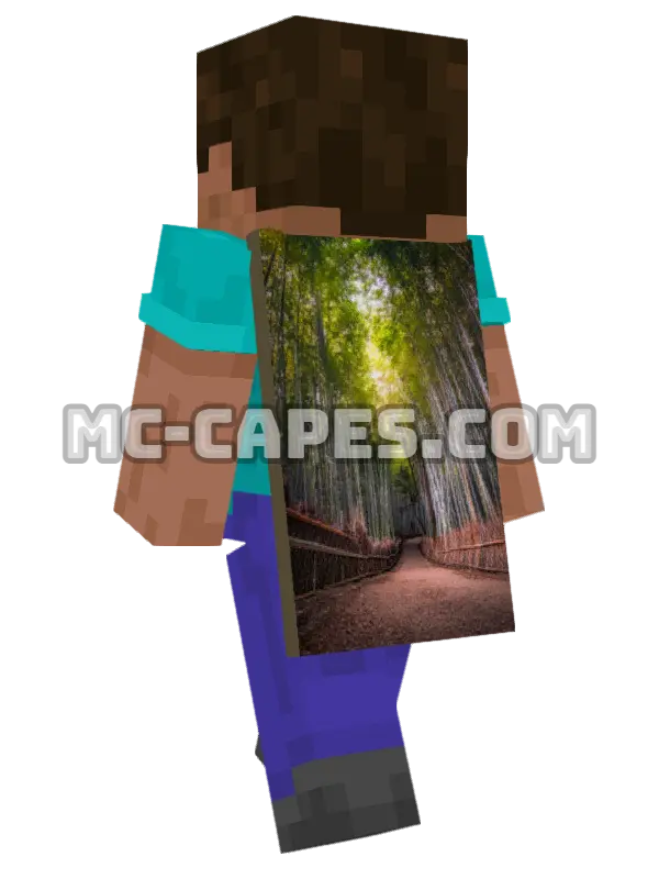 Bamboo Path Minecraft cape worn on a player, seen from behind