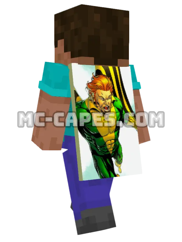 Banshee Minecraft cape worn on a player, seen from behind