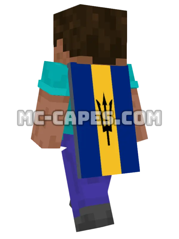 Barbados Flag Minecraft cape worn on a player, seen from behind