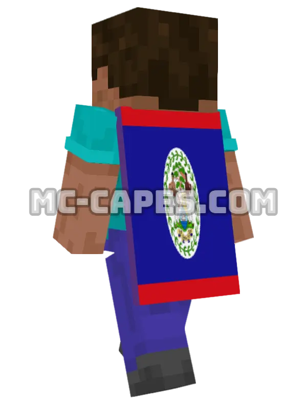 Belize Flag Minecraft cape worn on a player, seen from behind