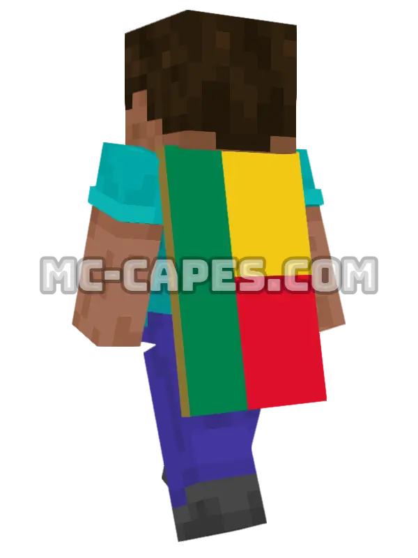 Benin Flag Minecraft cape worn on a player, seen from behind