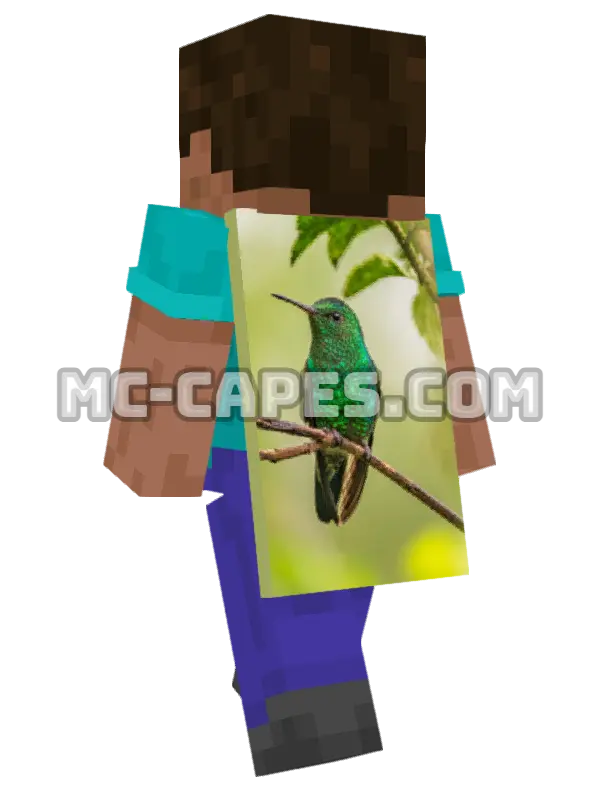 Bird on Branch Minecraft cape worn on a player, seen from behind