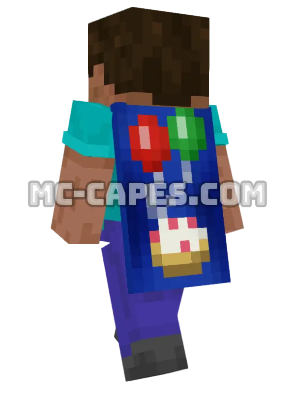 Birthday Minecraft cape worn on a player, seen from behind
