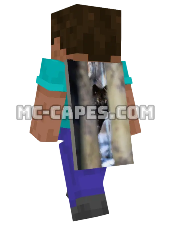 Black Wolf Minecraft cape worn on a player, seen from behind