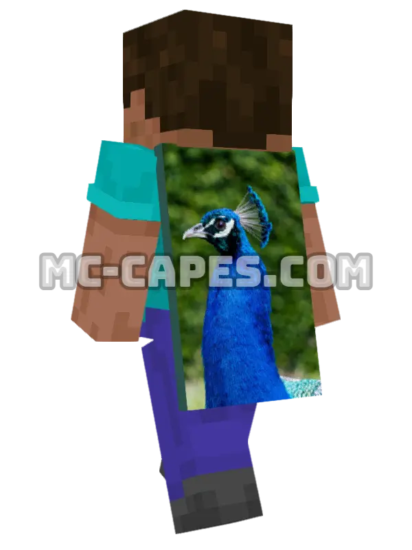Blue Peacock Minecraft cape worn on a player, seen from behind