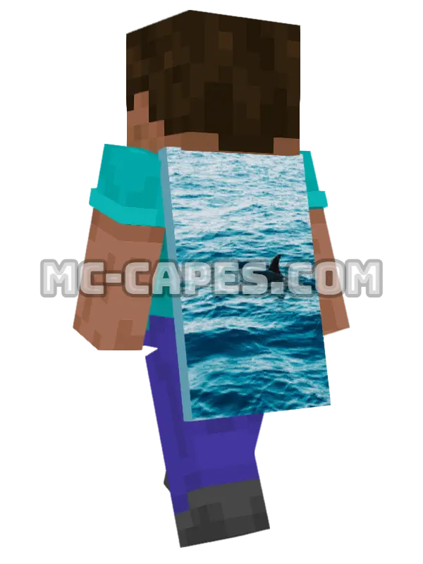 Blue Water Dolphin Minecraft cape worn on a player, seen from behind