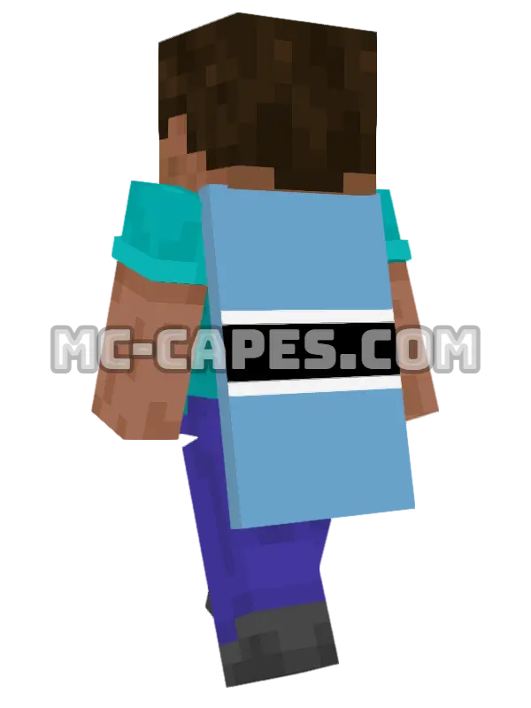 Botswana Flag Minecraft cape worn on a player, seen from behind
