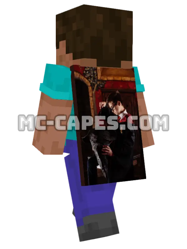 Boy Wizard Minecraft cape worn on a player, seen from behind