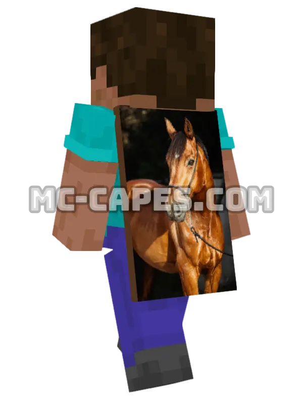 Brown Horse Halter Minecraft cape worn on a player, seen from behind