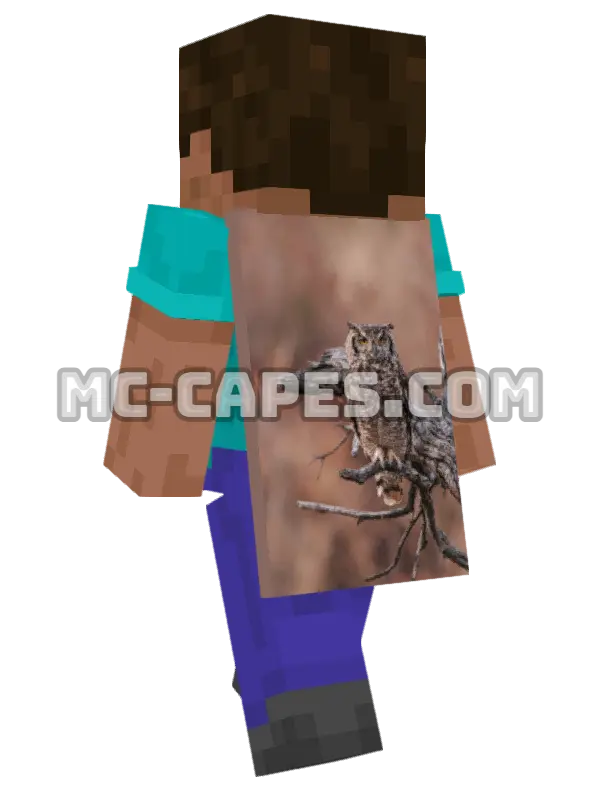 Brown Owl Minecraft cape worn on a player, seen from behind