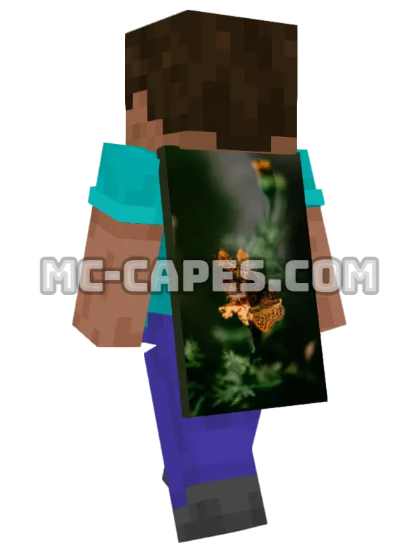 Butterflies Minecraft cape worn on a player, seen from behind