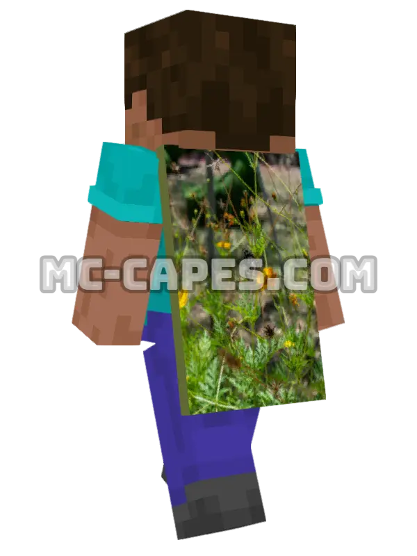 Butterfly on Flower Minecraft cape worn on a player, seen from behind
