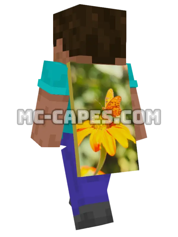 Butterfly on Flower Minecraft cape worn on a player, seen from behind
