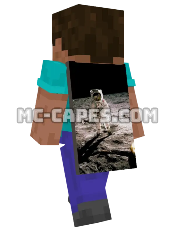 Buzz Aldrin Minecraft cape worn on a player, seen from behind