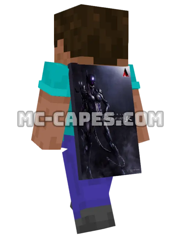 Catwoman Armor Minecraft cape worn on a player, seen from behind
