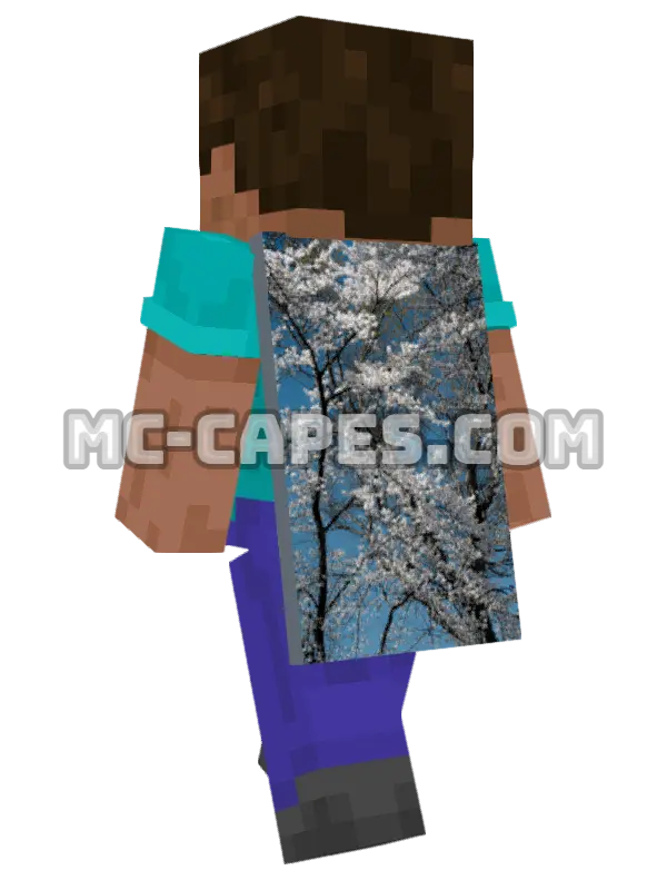 Cherry Blossom Minecraft cape worn on a player, seen from behind