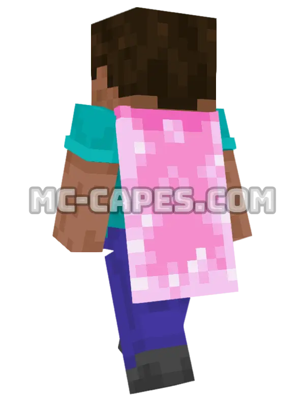 Cherry Blossom Minecraft cape worn on a player, seen from behind