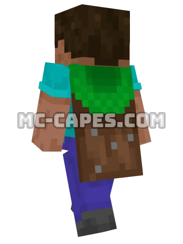 Common Minecraft cape worn on a player, seen from behind