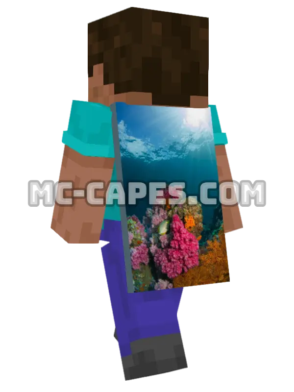 Coral Fish Minecraft cape worn on a player, seen from behind
