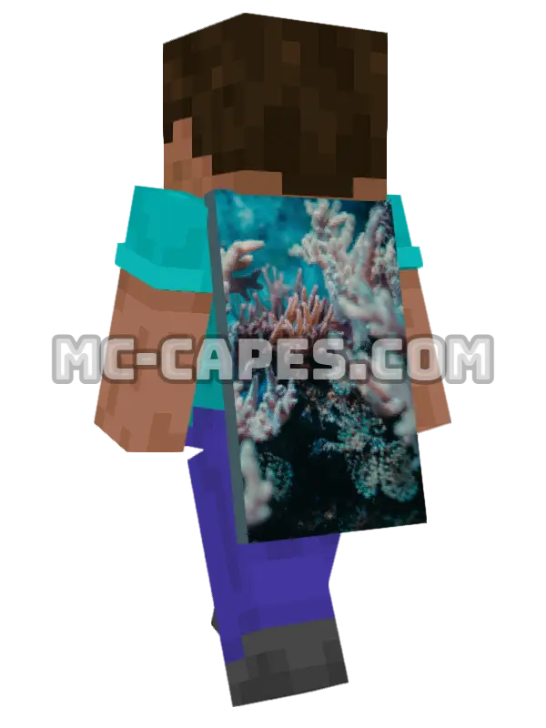 Coral Reef Minecraft cape worn on a player, seen from behind