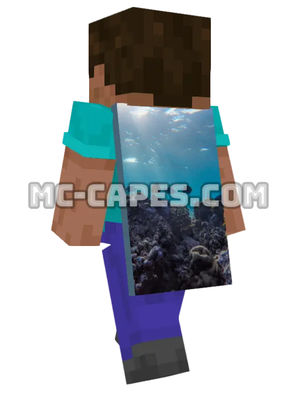 Coral Reef Life Minecraft cape worn on a player, seen from behind
