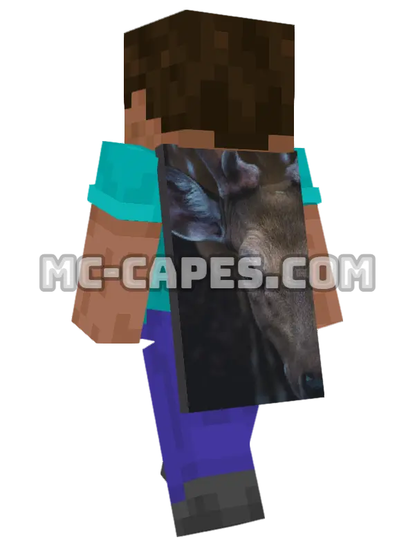Deer Eye Minecraft cape worn on a player, seen from behind