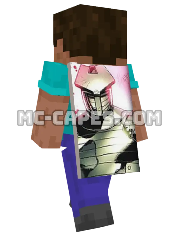 Destroyer Minecraft cape worn on a player, seen from behind