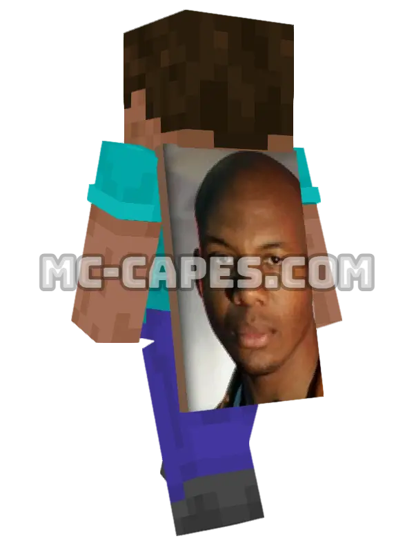 DL Hawkins Minecraft cape worn on a player, seen from behind