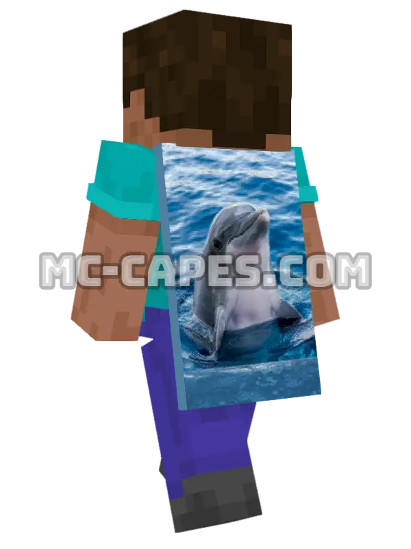 Dolphin Minecraft cape worn on a player, seen from behind