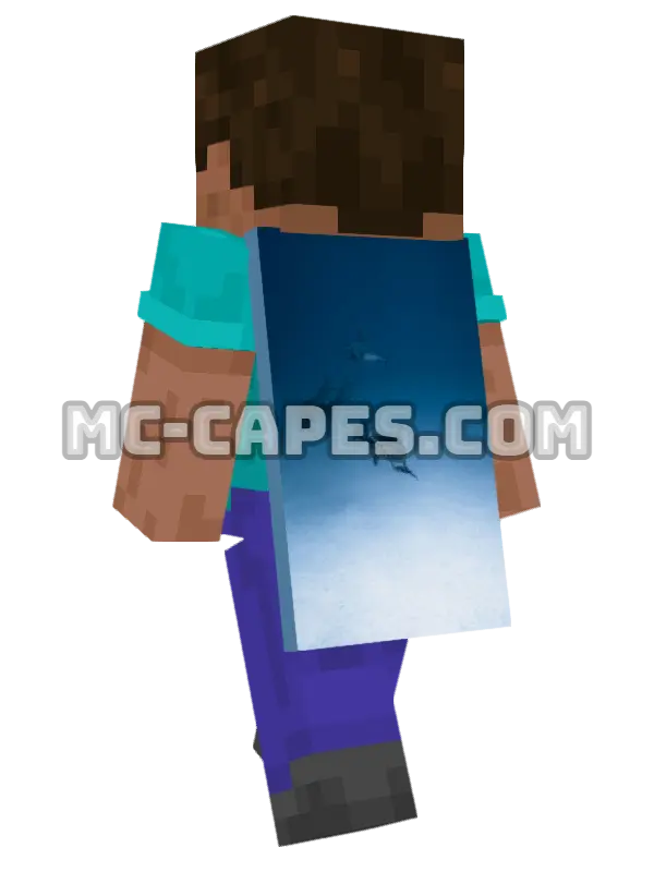 Dolphin Pod Minecraft cape worn on a player, seen from behind