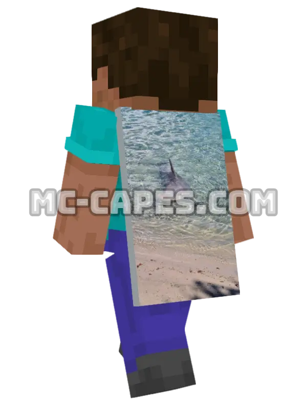 Dolphin Swim Minecraft cape worn on a player, seen from behind