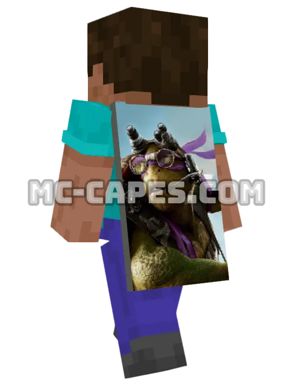 Donatello Minecraft cape worn on a player, seen from behind