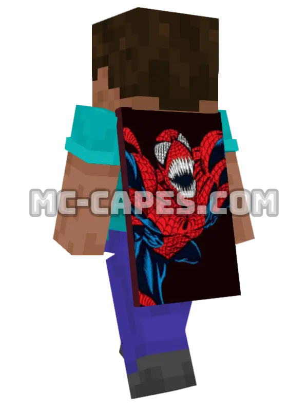 Doppelganger Minecraft cape worn on a player, seen from behind