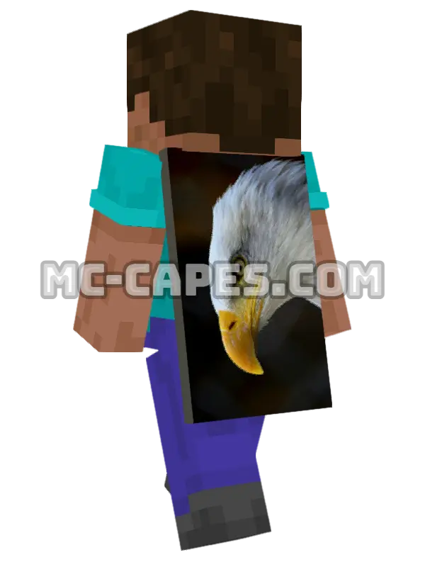 Eagle Head Minecraft cape worn on a player, seen from behind
