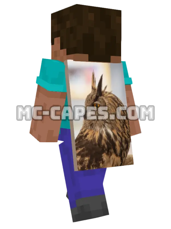 Eagle Owl Minecraft cape worn on a player, seen from behind