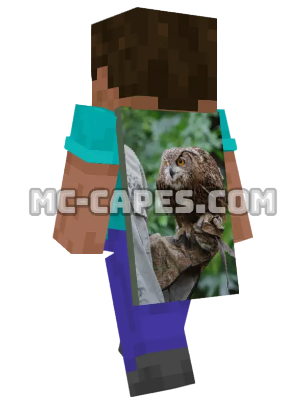 Eagle Owl Minecraft cape worn on a player, seen from behind
