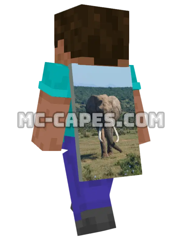Elephant Grazing Minecraft cape worn on a player, seen from behind
