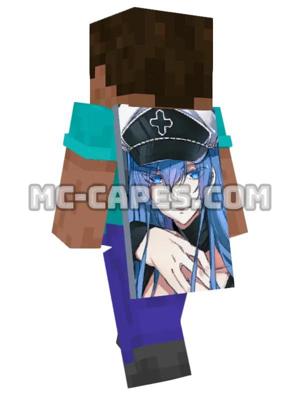 Esdeath Minecraft cape worn on a player, seen from behind