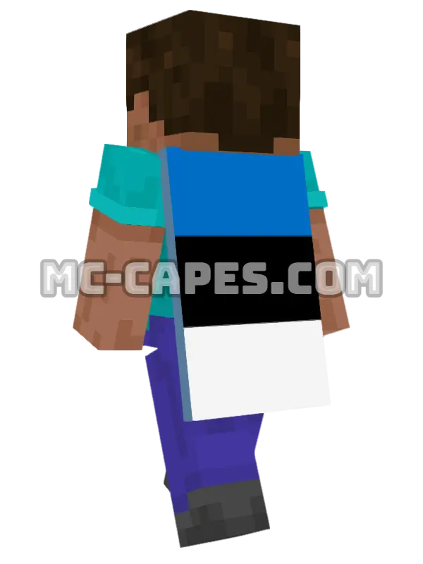 Estonia Flag Minecraft cape worn on a player, seen from behind