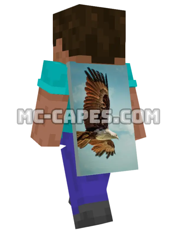 Flying Eagle Minecraft cape worn on a player, seen from behind